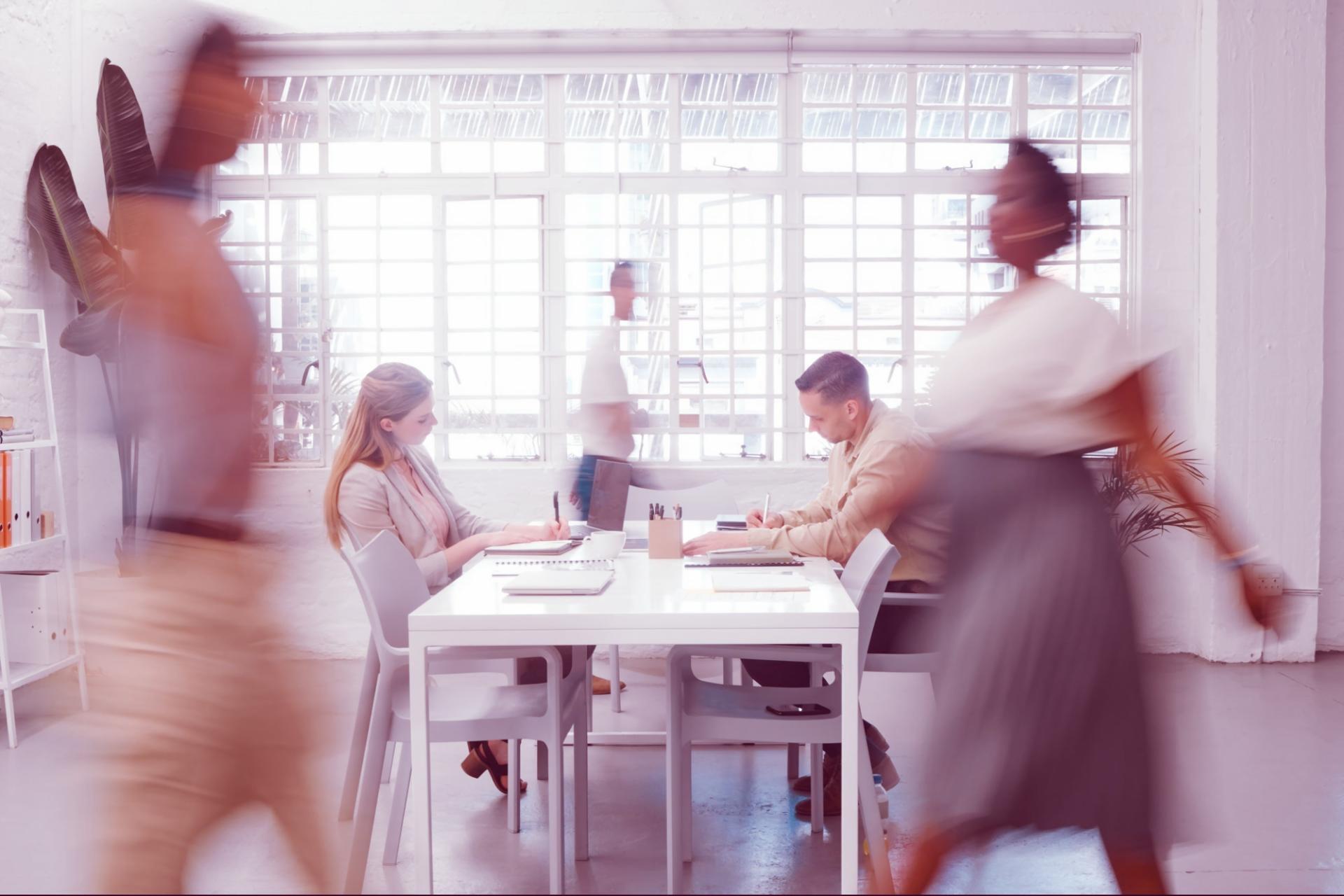 Environnement de travail collaboratif avec outils d'analyse paléoécologique